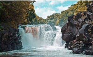 Ile Aux Cerfs  waterfall