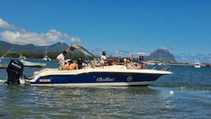 Speed Boat for Dolphins Trip